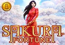 Sakura Fortune